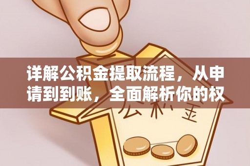大社详解公积金提取流程，从申请到到账，全面解析你的权益与操作步骤
