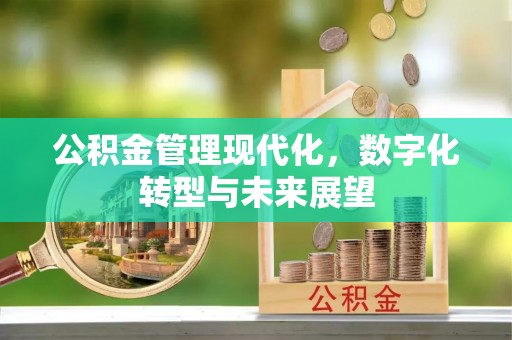 大社公积金管理现代化，数字化转型与未来展望