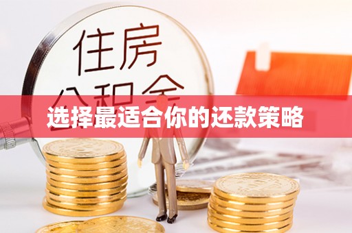 大社选择最适合你的还款策略